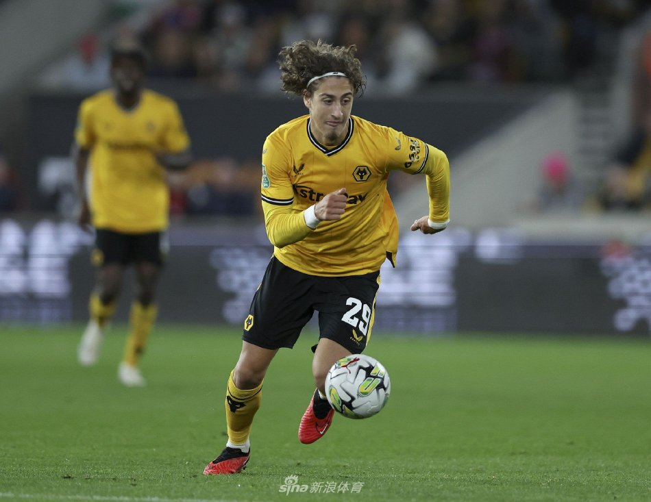 适应能力 适应能力